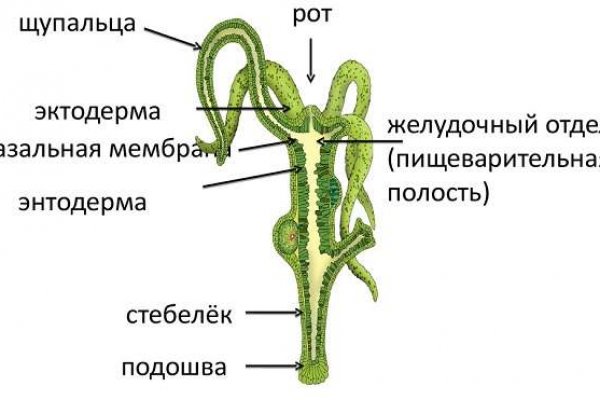 Новая ссылка на кракен