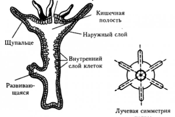 Kraken ссылка зеркало официальный сайт